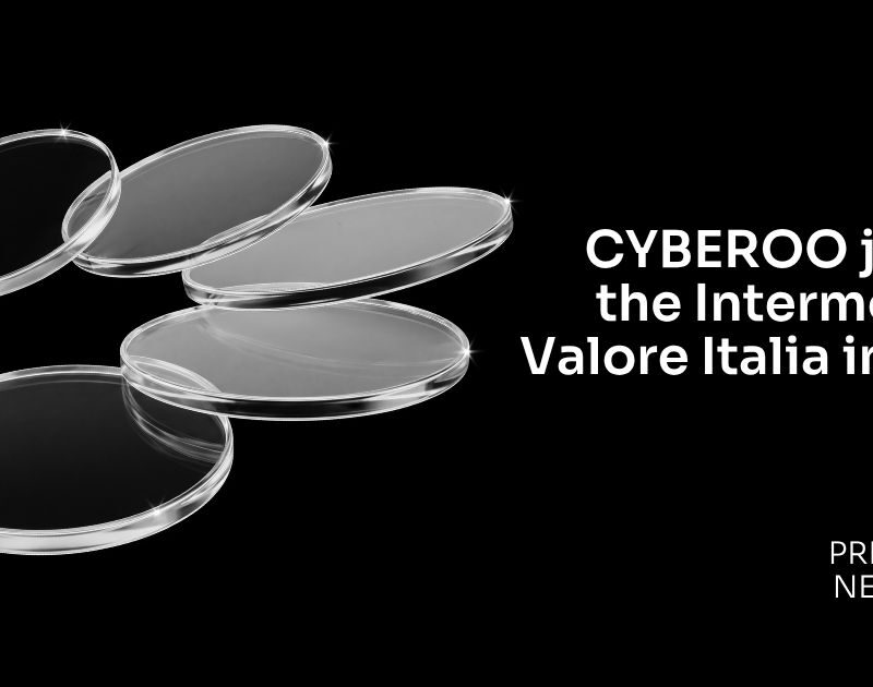 Intermonte Valore Italia Index